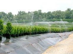 Manufacturers Exporters and Wholesale Suppliers of Weed Control Hubli Karnataka